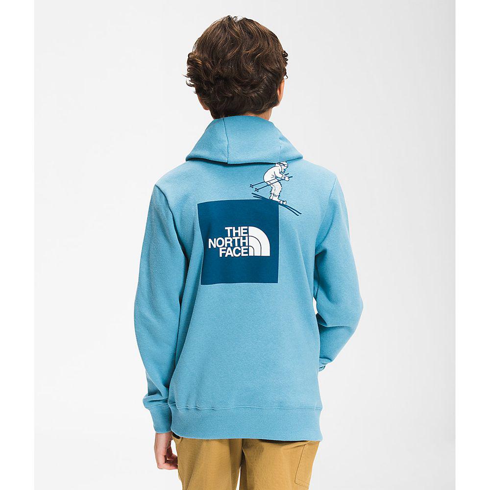 The North Face Camp Fleece Pullover Αγόρια Φούτερ Hoodie - Μπλε (VQAJ56423)